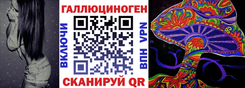 Галлюциногенные грибы Psilocybine cubensis  Талица 