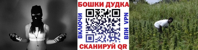 Конопля AK-47  Талица 